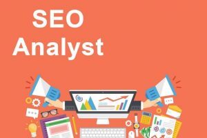 seo-analyst-1024x535-300x200